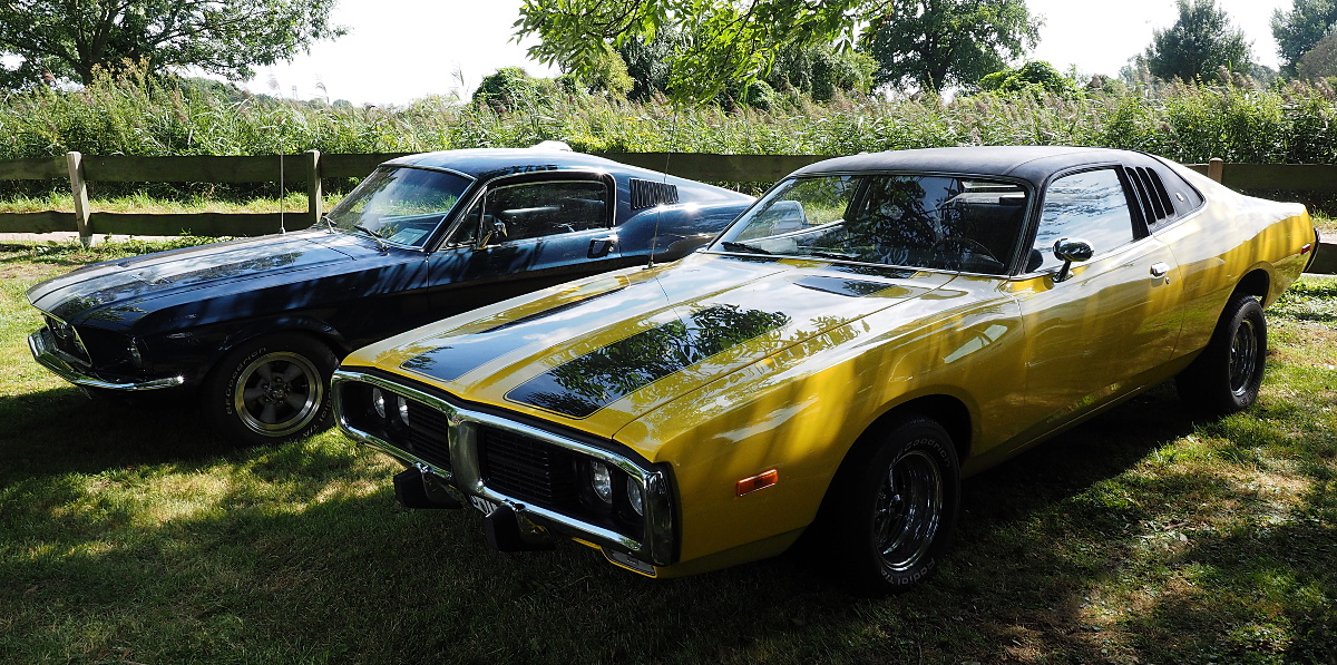 Muscle Cars